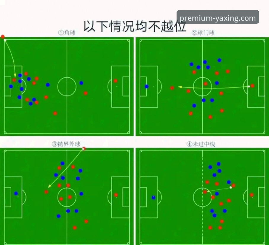 阿根廷世界杯征程的战术折损与深度分析指南
